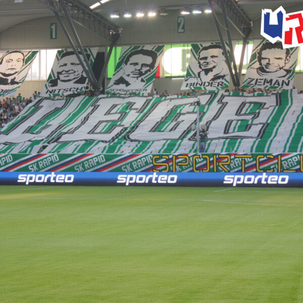 SPORTEO Sportmanagement